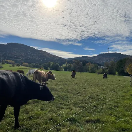 Am Ortsrand Von Rosswangen Διαμέρισμα